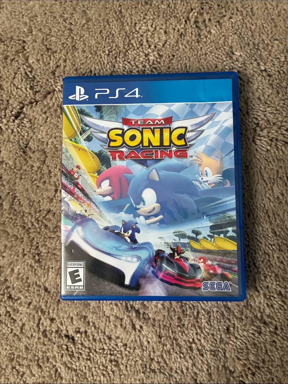 Team Sonic Racing (PS4) - Blue Case